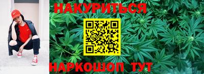 гидропоника Моздок